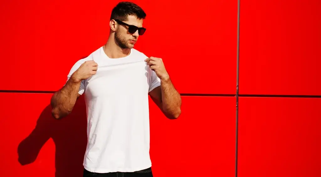 tipos de camisa masculina: t-shirt